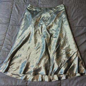 Banana Republic Silk and Metallic Skirt